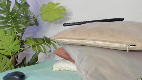 Stacy online show from 21, 1, 2025