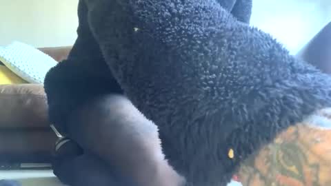 Snapshot of cutestsin chatting on 28, 9, 2025 cutestsin online show from 28, 9, 2025