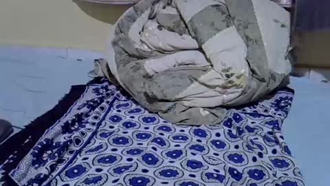 Snapshot of cuttepappy chatting on 15, 6, 2026 cuttepappy online show from 15, 6, 2026