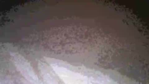 Snapshot of cwill27837 chatting on 26, 2, 2026 cwill27837 online show from 26, 2, 2026