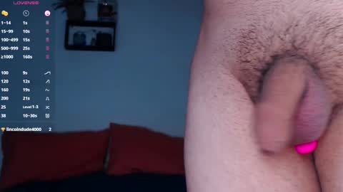 Snapshot of cyber_adan1 chatting on 19, 12, 2024 cyber online show from 19, 12, 2024