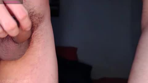 Snapshot of cyber_adan1 chatting on 26, 12, 2024 cyber online show from 26, 12, 2024