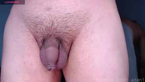 Snapshot of cyber_adan1 chatting on 16, 1, 2025 cyber online show from 16, 1, 2025