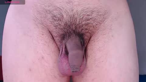 Snapshot of cyber_adan1 chatting on 19, 2, 2025 cyber online show from 19, 2, 2025