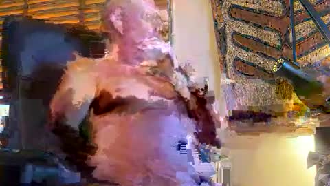 andy online show from 7, 12, 2024