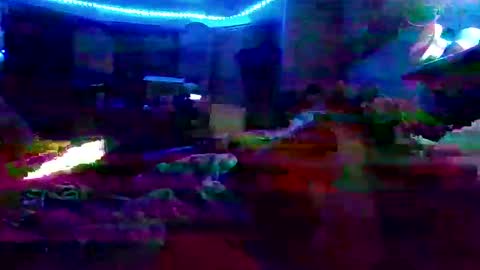 dabangaz4life online show from 7, 12, 2024