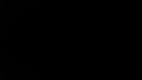 Snapshot of dabirdfree chatting on 4, 12, 2024 Destroyer online show from 4, 12, 2024