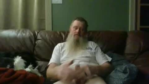 dachshund01 online show from 24, 10, 2025