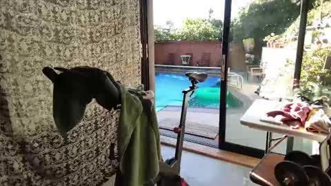 Snapshot of daddycache chatting on 9, 11, 2025 bas online show from 9, 11, 2025