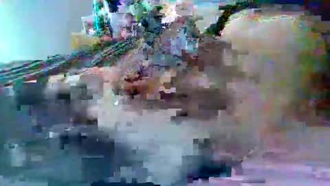 Snapshot of dafo1980 chatting on 22, 2, 2026 dafo1980 online show from 22, 2, 2026