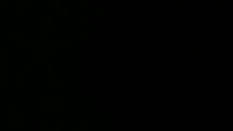 dailydisguised online show from 2, 4, 2026