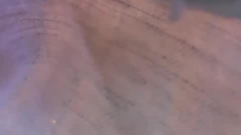 Daisy137 online show from 8, 3, 2026