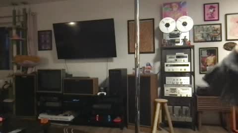 Snapshot of daisymynx chatting on 6, 4, 2026 daisymynx online show from 6, 4, 2026
