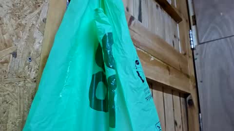 dave online show from 15, 12, 2024