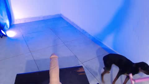 VALENTINA  online show from 16, 11, 2025