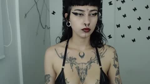 dakota online show from 28, 1, 2025