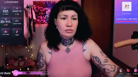 Dakota online show from 3, 2, 2026