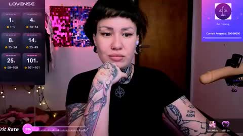 Dakota online show from 14, 2, 2026