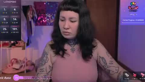 Dakota online show from 3, 7, 2026