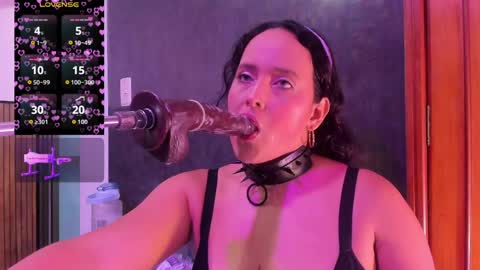 Dalia online show from 8, 5, 2026