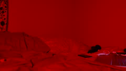 Nova online show from 11, 4, 2026