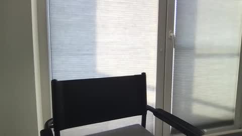 Snapshot of dan295899 chatting on 23, 3, 2026 dan295899 online show from 23, 3, 2026