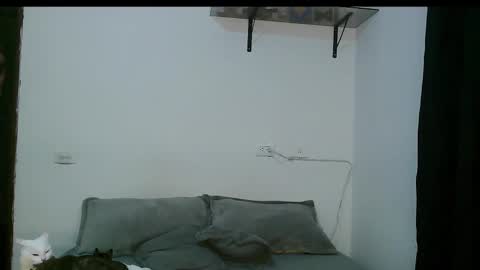 Dan and Noah online show from 5, 3, 2025