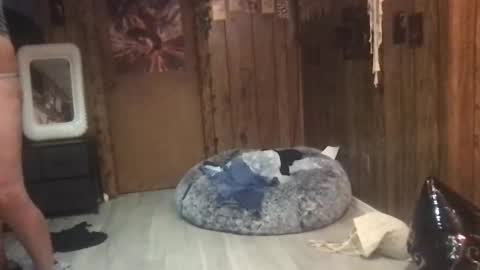 Snapshot of danamaris666 chatting on 25, 9, 2025 DanaMaris666 online show from 25, 9, 2025