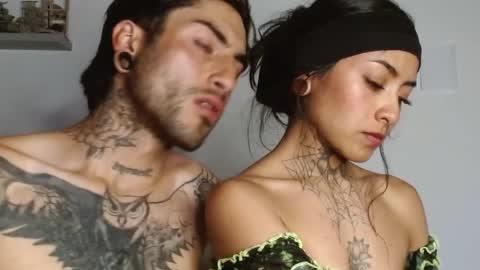 Dani online show from 2, 11, 2025