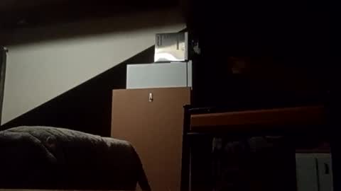 Snapshot of danieldayz chatting on 4, 11, 2025 danieldayz online show from 4, 11, 2025