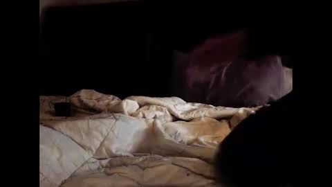 daniellbisous online show from 11, 2, 2026