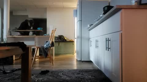 Snapshot of danimal5000 chatting on 12, 11, 2025 danimal5000 online show from 12, 11, 2025