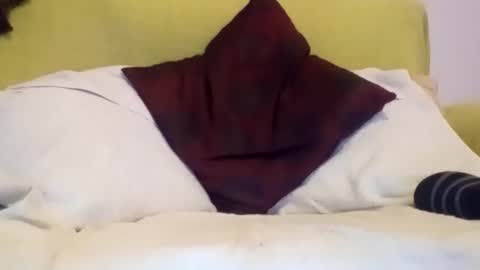 Snapshot of daniroca8 chatting on 17, 2, 2026 daniroca8 online show from 17, 2, 2026