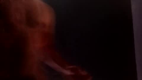 Snapshot of daniwood473904 chatting on 4, 4, 2026 daniwood473904 online show from 4, 4, 2026