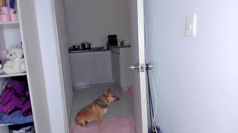 Danna Rhodes online show from 30, 11, 2025