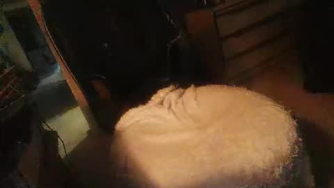 Snapshot of dannyb618 chatting on 16, 4, 2026 Danielle online show from 16, 4, 2026