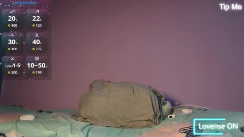 dante_bear online show from 15, 11, 2025