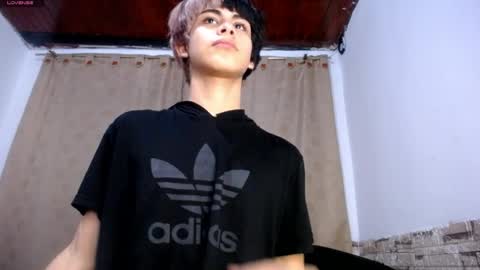 DARA online show from 1, 4, 2026