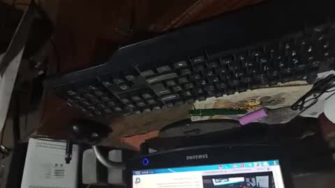 dario48 online show from 3, 11, 2025