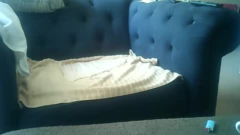 DarkAngel online show from 8, 1, 2025