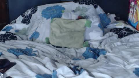 dasha6 online show from 12, 2, 2025