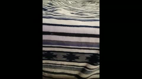 Snapshot of dat_guy8806 chatting on 5, 1, 2026 dat_guy8806 online show from 5, 1, 2026