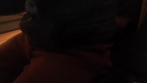 Snapshot of davdao3 chatting on 20, 12, 2024 davdao3 online show from 20, 12, 2024