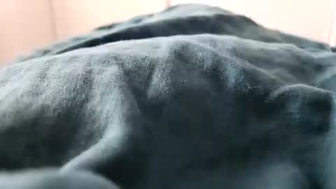 Snapshot of davdao3 chatting on 16, 2, 2025 davdao3 online show from 16, 2, 2025