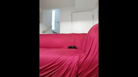 dave3891 online show from 13, 2, 2026