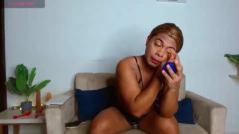 Noha online show from 26, 2, 2026