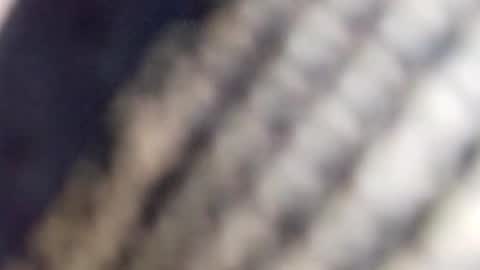 david_stone1969 online show from 23, 1, 2025