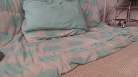 Snapshot of davselfs chatting on 2, 12, 2024 dav online show from 2, 12, 2024