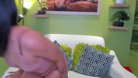 Snapshot of dayan_torres chatting on 11, 5, 2026 dayan_torres online show from 11, 5, 2026