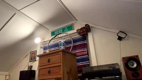 dayblue online show from 16, 4, 2026